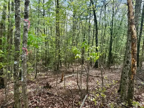 2.07 Ac Rainy Farm Road Murphy NC 28906