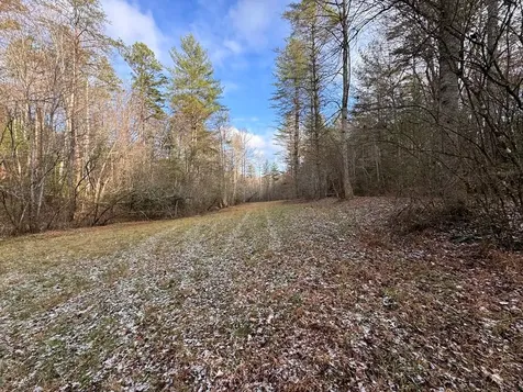 00 Shuler Murphy NC 28906