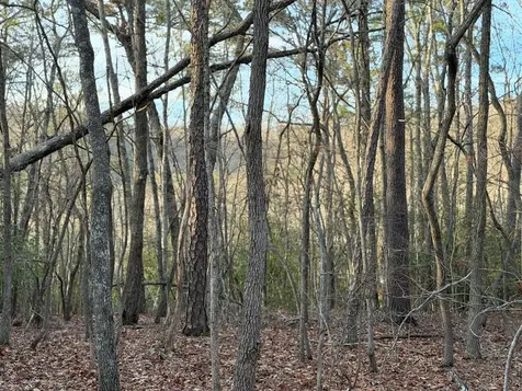Lot #118 Royal View Landing Murphy NC 28906