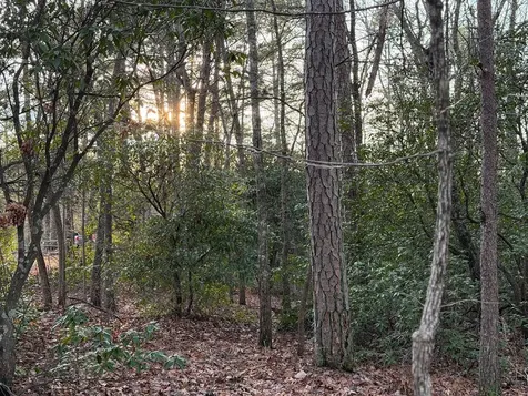 Lot #118 Royal View Landing Murphy NC 28906