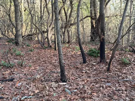 Lot #118 Royal View Landing Murphy NC 28906
