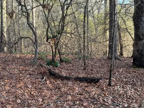 Lot #118 Royal View Landing Murphy NC 28906