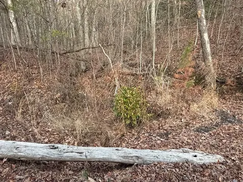 Lot #118 Royal View Landing Murphy NC 28906
