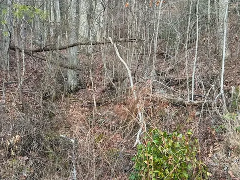 Lot #118 Royal View Landing Murphy NC 28906