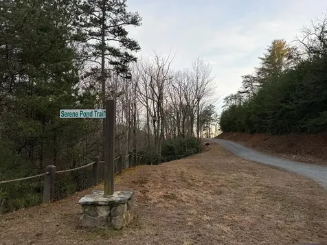 Lot #118 Royal View Landing Murphy NC 28906