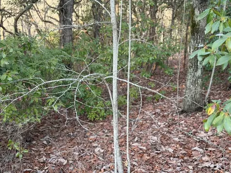 Lot #118 Royal View Landing Murphy NC 28906