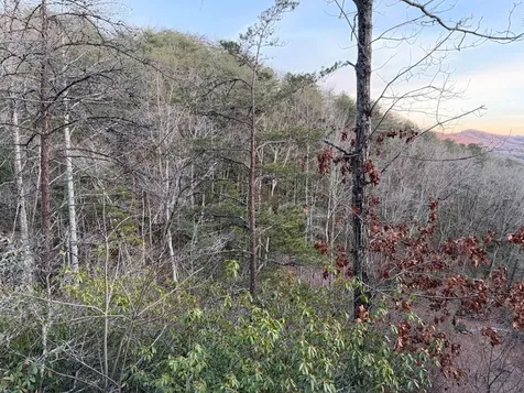 Lot #118 Royal View Landing Murphy NC 28906