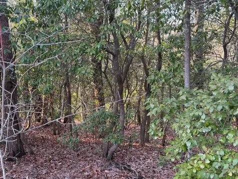Lot #118 Royal View Landing Murphy NC 28906