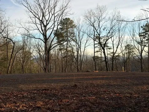 Lot #118 Royal View Landing Murphy NC 28906