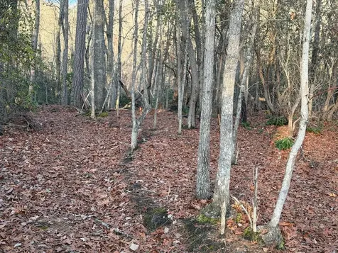 Lot #118 Royal View Landing Murphy NC 28906