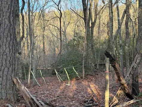Lot #118 Royal View Landing Murphy NC 28906
