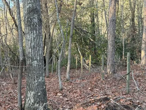 Lot #118 Royal View Landing Murphy NC 28906