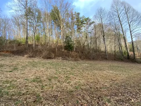 Lot 4 Ivy Log Road Murphy NC 28906