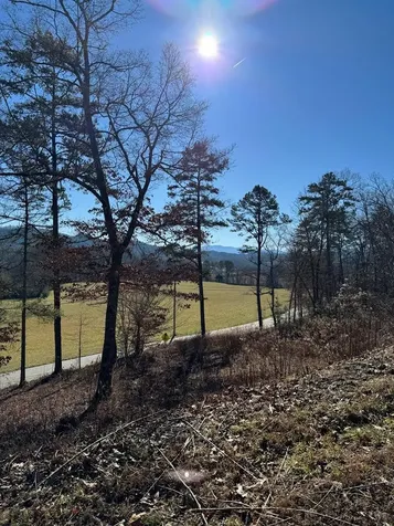 000 Mistletoe Ridge Murphy NC 28906