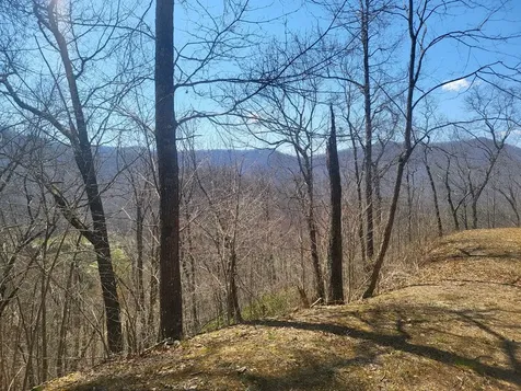 Sr 1229 Dry Creek Robbinsville NC 28771