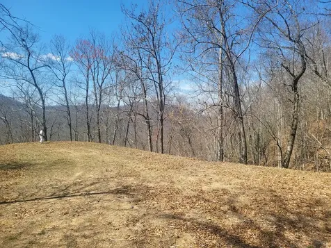 Sr 1229 Dry Creek Robbinsville NC 28771