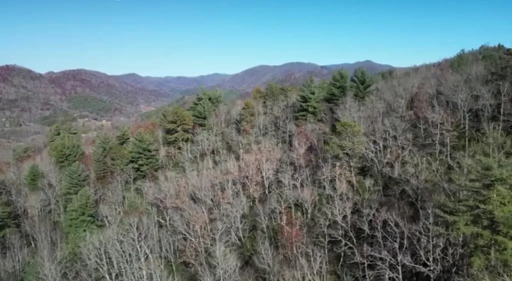 Na W Mill Creek Robbinsville NC 28771