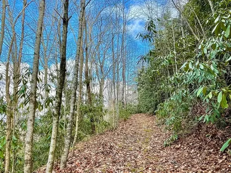 Na W Mill Creek Robbinsville NC 28771