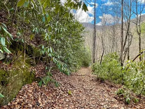 Na W Mill Creek Robbinsville NC 28771