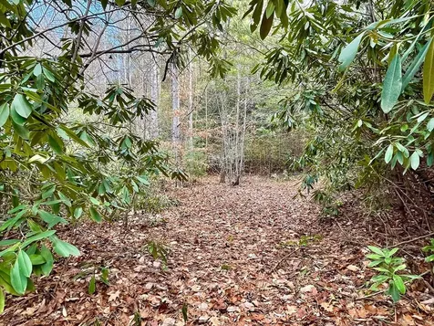 Na W Mill Creek Robbinsville NC 28771