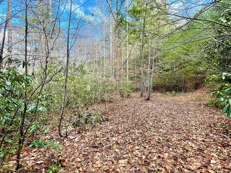 Na W Mill Creek Robbinsville NC 28771
