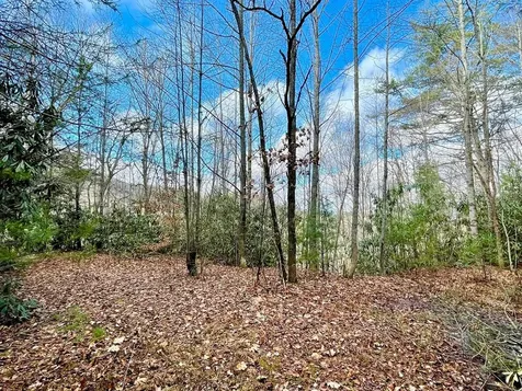 Na W Mill Creek Robbinsville NC 28771