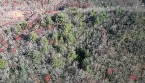 Na W Mill Creek Robbinsville NC 28771