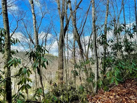 Na W Mill Creek Robbinsville NC 28771