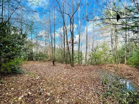 Na W Mill Creek Robbinsville NC 28771