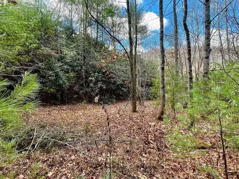 Na W Mill Creek Robbinsville NC 28771