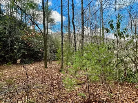 Na W Mill Creek Robbinsville NC 28771