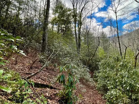 Na W Mill Creek Robbinsville NC 28771