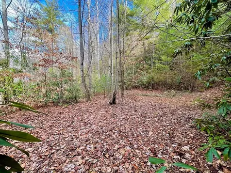 Na W Mill Creek Robbinsville NC 28771