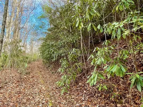 Na W Mill Creek Robbinsville NC 28771