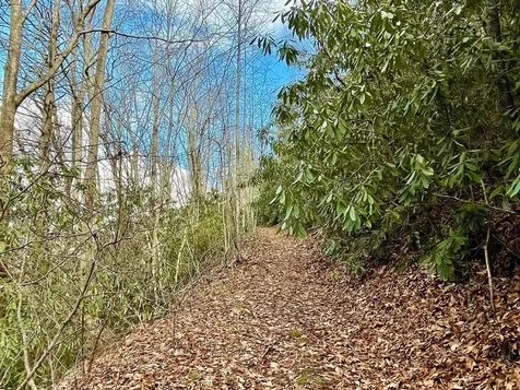 Na W Mill Creek Robbinsville NC 28771