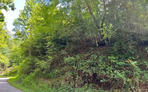 Lot 77 Fires Creek Cove Hayesville NC 28904