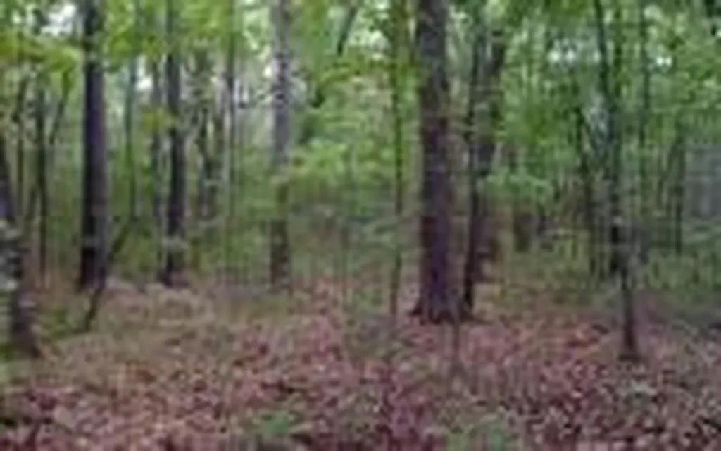 00 Lady Lane Murphy NC 28906