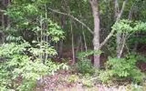 00 Lady Lane Murphy NC 28906