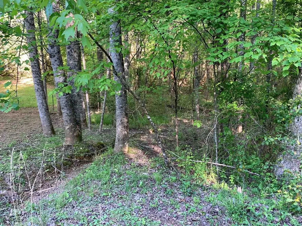 4 Hunter Valley Road Murphy NC 28906