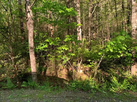 4 Hunter Valley Road Murphy NC 28906