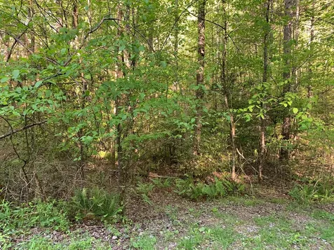 4 Hunter Valley Road Murphy NC 28906