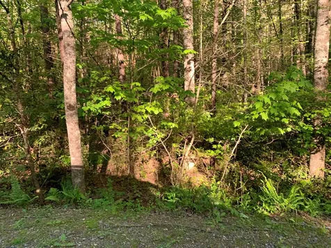 4 Hunter Valley Road Murphy NC 28906