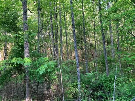 4 Hunter Valley Road Murphy NC 28906