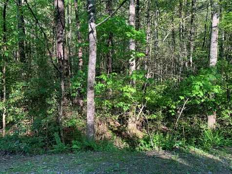 4 Hunter Valley Road Murphy NC 28906