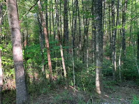 4 Hunter Valley Road Murphy NC 28906