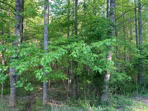 4 Hunter Valley Road Murphy NC 28906