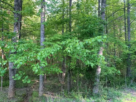 4 Hunter Valley Road Murphy NC 28906