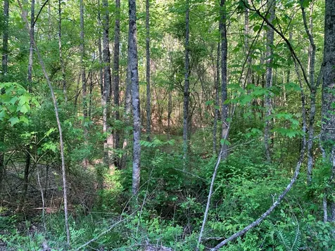 4 Hunter Valley Road Murphy NC 28906