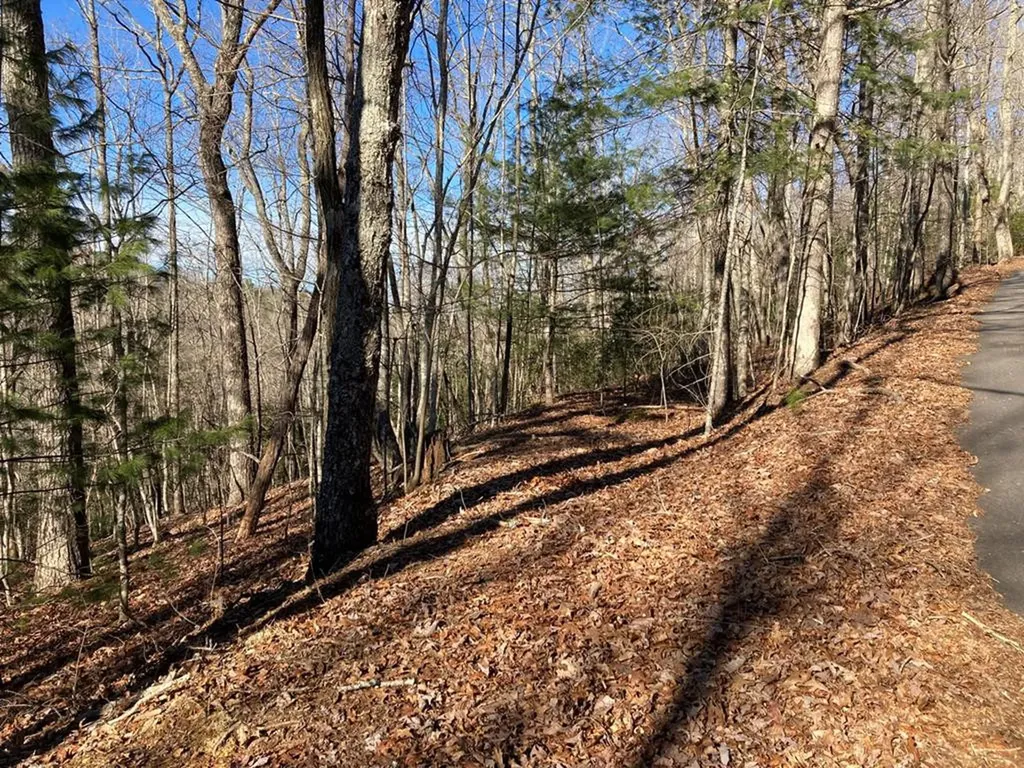 Lot 31 High Ridge Road Murphy NC 28906