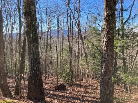 Lot 31 High Ridge Road Murphy NC 28906